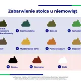 Ilustracja pokazuje różne odcienie kupki noworodka, od czarnej i ciemnozielonej po brązową, żółtą, pomarańczową, a nawet białą.
