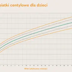Wykres przedstawia siatki centylowe płodu, pokazujące zależność wzrostu od wieku w miesiącach.