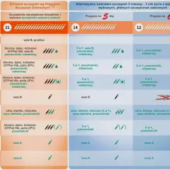 Schemat szczepień w 3 miesiącu życia obejmuje szczepienia przeciwko błonicy, tężcowi, krztuścowi, Hib, polio, pneumokokom i rotawirusom.