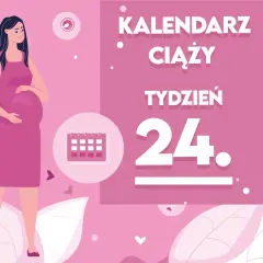 Kobieta w 24 tygodniu ciąży, trzymająca się za brzuch. Obok kalendarz i napis "Kaledarz ciąży tydzień 24".