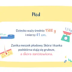 Waga dziecka w 30 tygodniu ciąży to ok. 1500 g, a długość 41 cm. Skóra staje się grubsza i zaróżowiona.