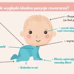 Ilustracja pokazuje idealną pozycję, gdy dziecko raczkuje: stabilny tułów, nisko ustawione barki, neutralne stopy, kolanka w osi, prosta głowa, wzrok poziomo i wyraźna szyja.