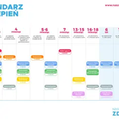Kalendarz szczepień niemowlaka: od pierwszych dawek po kolejne dawki przypominające, obejmujący różne choroby.