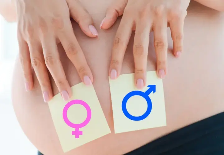 Dłonie kobiety na brzuchu ciążowym, trzymające karteczki z symbolami płci. Czy wiek matki wpływa na płeć dziecka?