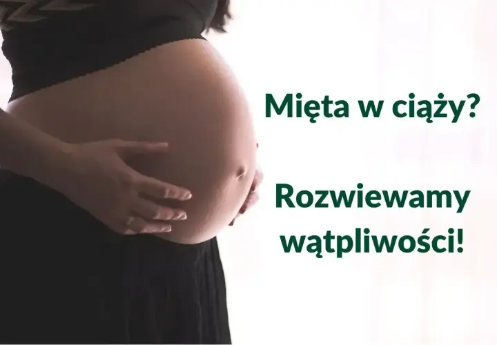 Brzuch kobiety w ciąży. Czy można pić miętę w ciąży? Rozwiewamy wątpliwości!