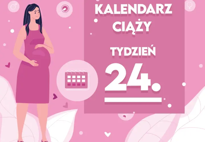 Kobieta w 24 tygodniu ciąży, trzymająca się za brzuch. Obok kalendarz i napis "Kaledarz ciąży tydzień 24".