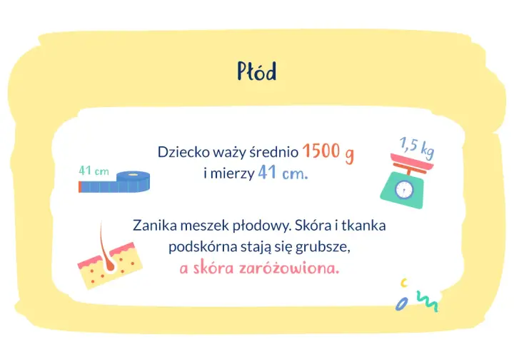 Waga dziecka w 30 tygodniu ciąży to ok. 1500 g, a długość 41 cm. Skóra staje się grubsza i zaróżowiona.