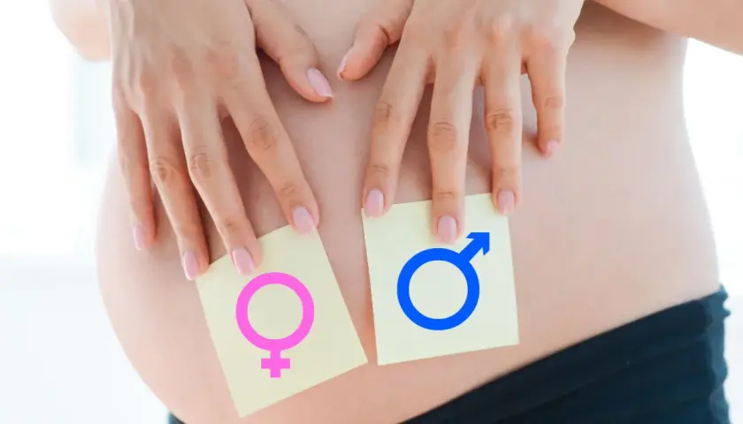 Dłonie kobiety na brzuchu ciążowym, trzymające karteczki z symbolami płci. Czy wiek matki wpływa na płeć dziecka?