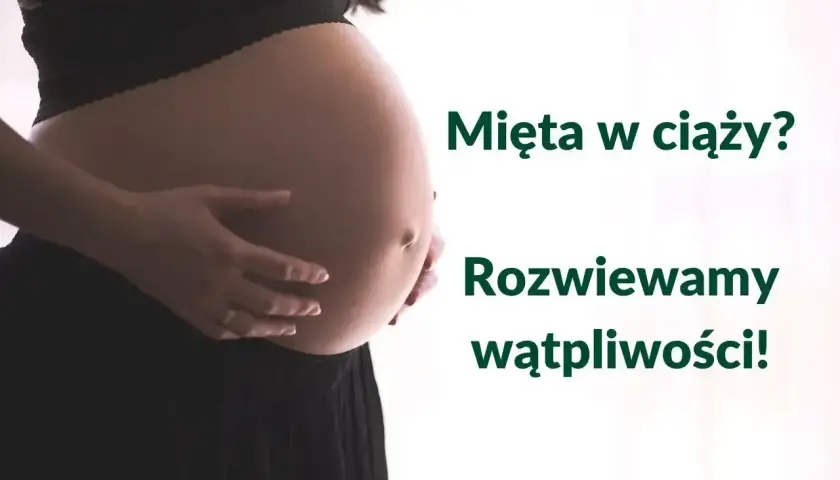 Brzuch kobiety w ciąży. Czy można pić miętę w ciąży? Rozwiewamy wątpliwości!