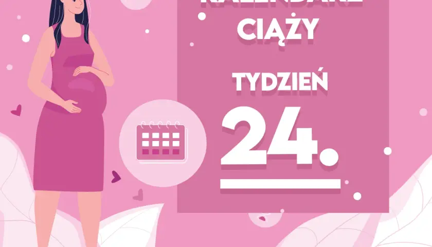 Kobieta w 24 tygodniu ciąży, trzymająca się za brzuch. Obok kalendarz i napis "Kaledarz ciąży tydzień 24".