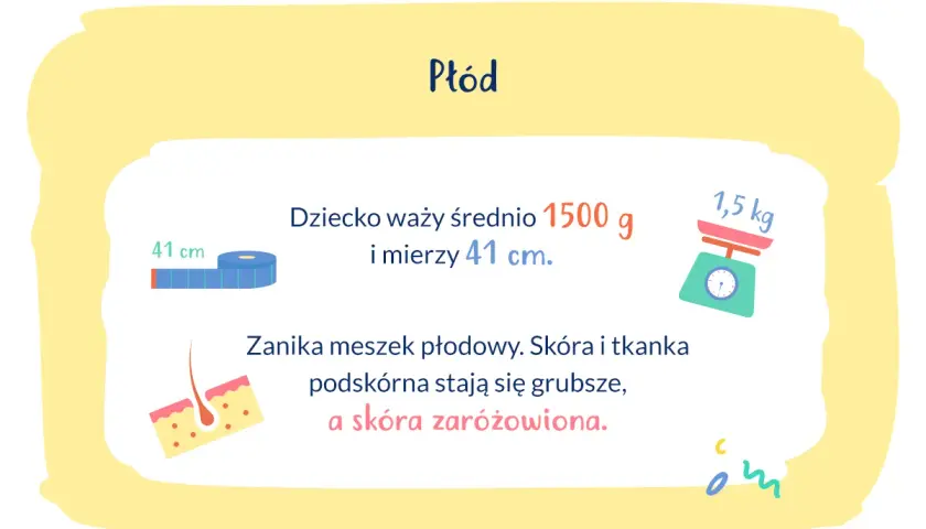 Waga dziecka w 30 tygodniu ciąży to ok. 1500 g, a długość 41 cm. Skóra staje się grubsza i zaróżowiona.