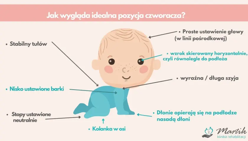 Ilustracja pokazuje idealną pozycję, gdy dziecko raczkuje: stabilny tułów, nisko ustawione barki, neutralne stopy, kolanka w osi, prosta głowa, wzrok poziomo i wyraźna szyja.