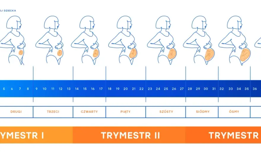 Ile tyg ma dziecko? Jak liczyć tygodnie ciąży i po porodzie