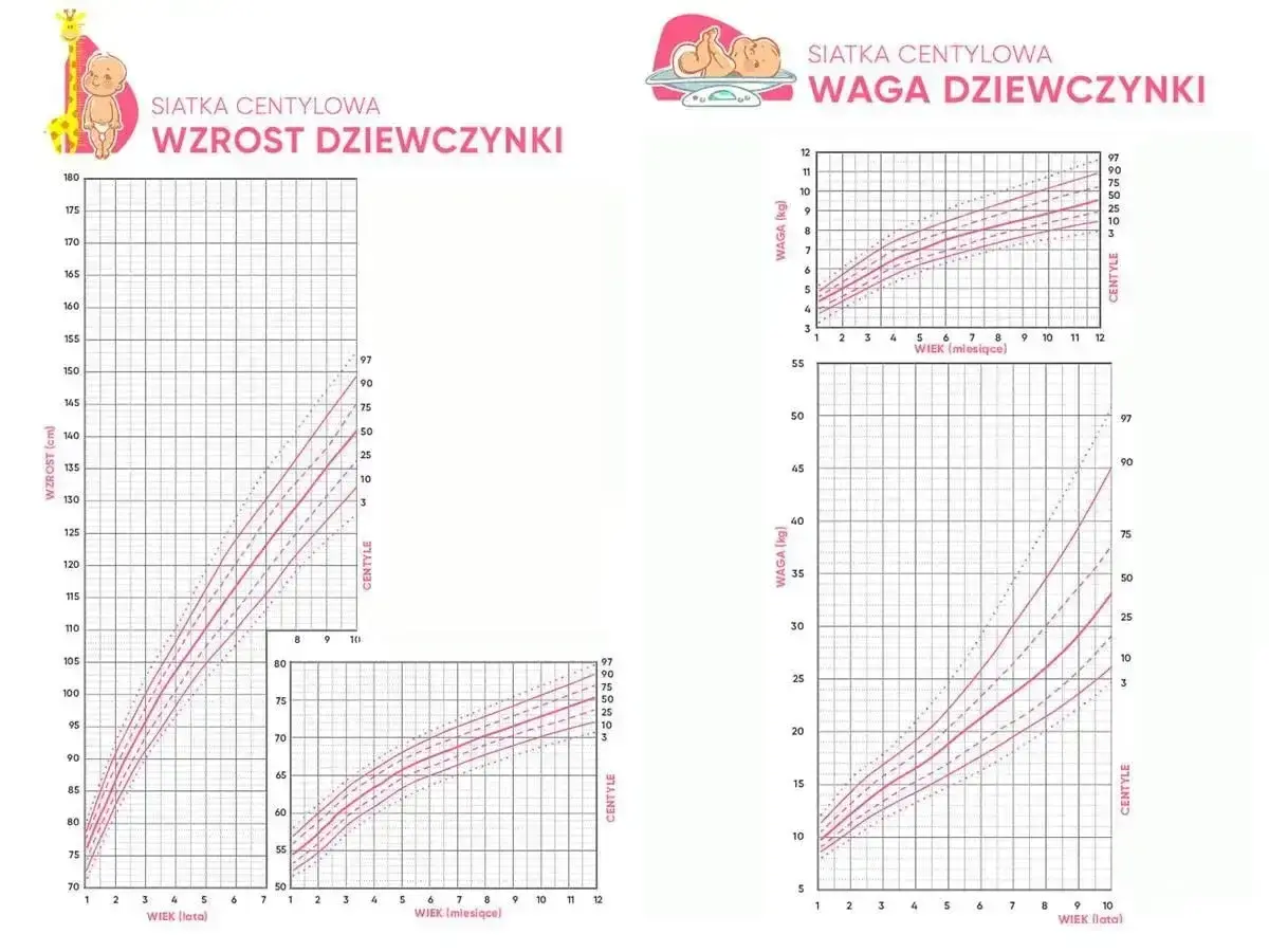 Siatka centylowa wzrostu i wagi dziewczynki. Tabela obwodu główki niemowlaka nie jest widoczna.