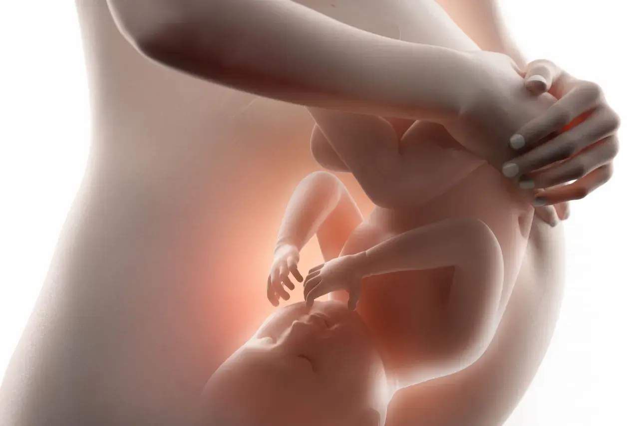 Dziecko w łonie matki, widok 3 miesiąc ciąży. Delikatne dłonie otulają rosnące życie.