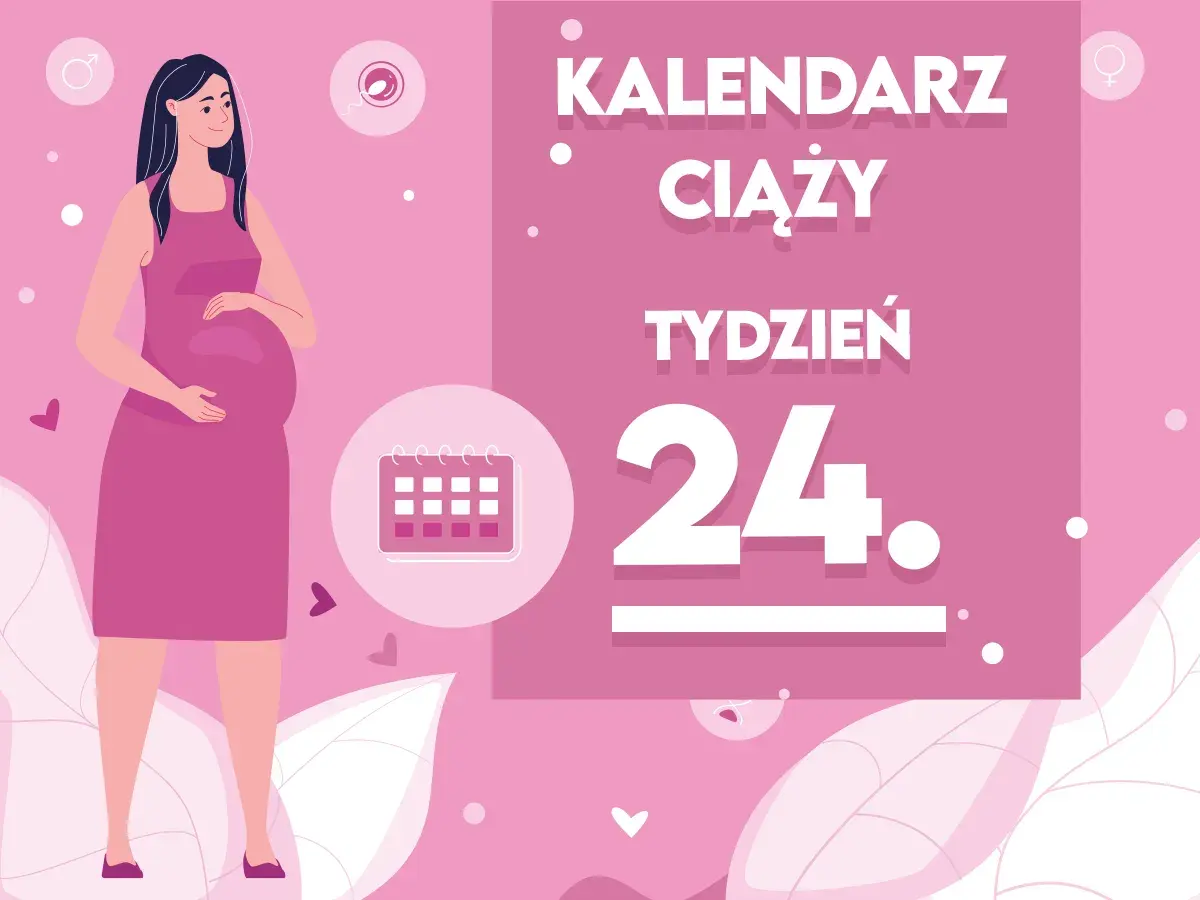 Kobieta w 24 tygodniu ciąży, trzymająca się za brzuch. Obok kalendarz i napis "Kaledarz ciąży tydzień 24".