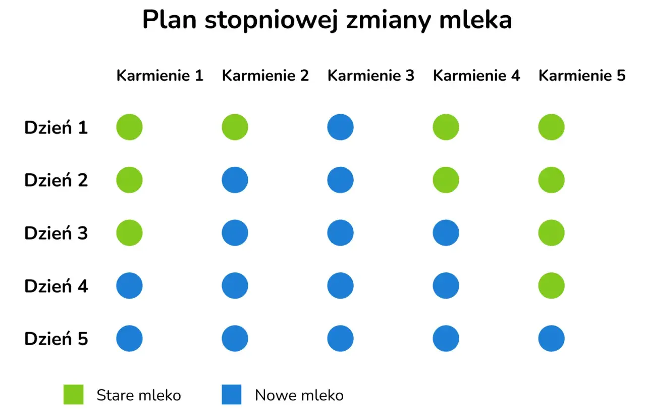 Schemat stopniowej zmiany mleka, pokazujący przejście od starego do nowego mleka. Dziecko stopniowo przyzwyczaja się do nowego smaku, podobnego do smaku mleka matki.