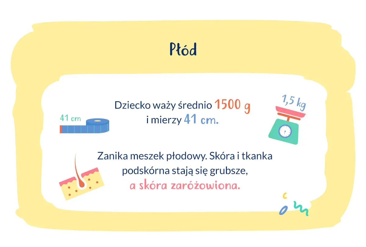 Waga dziecka w 30 tygodniu ciąży to ok. 1500 g, a długość 41 cm. Skóra staje się grubsza i zaróżowiona.