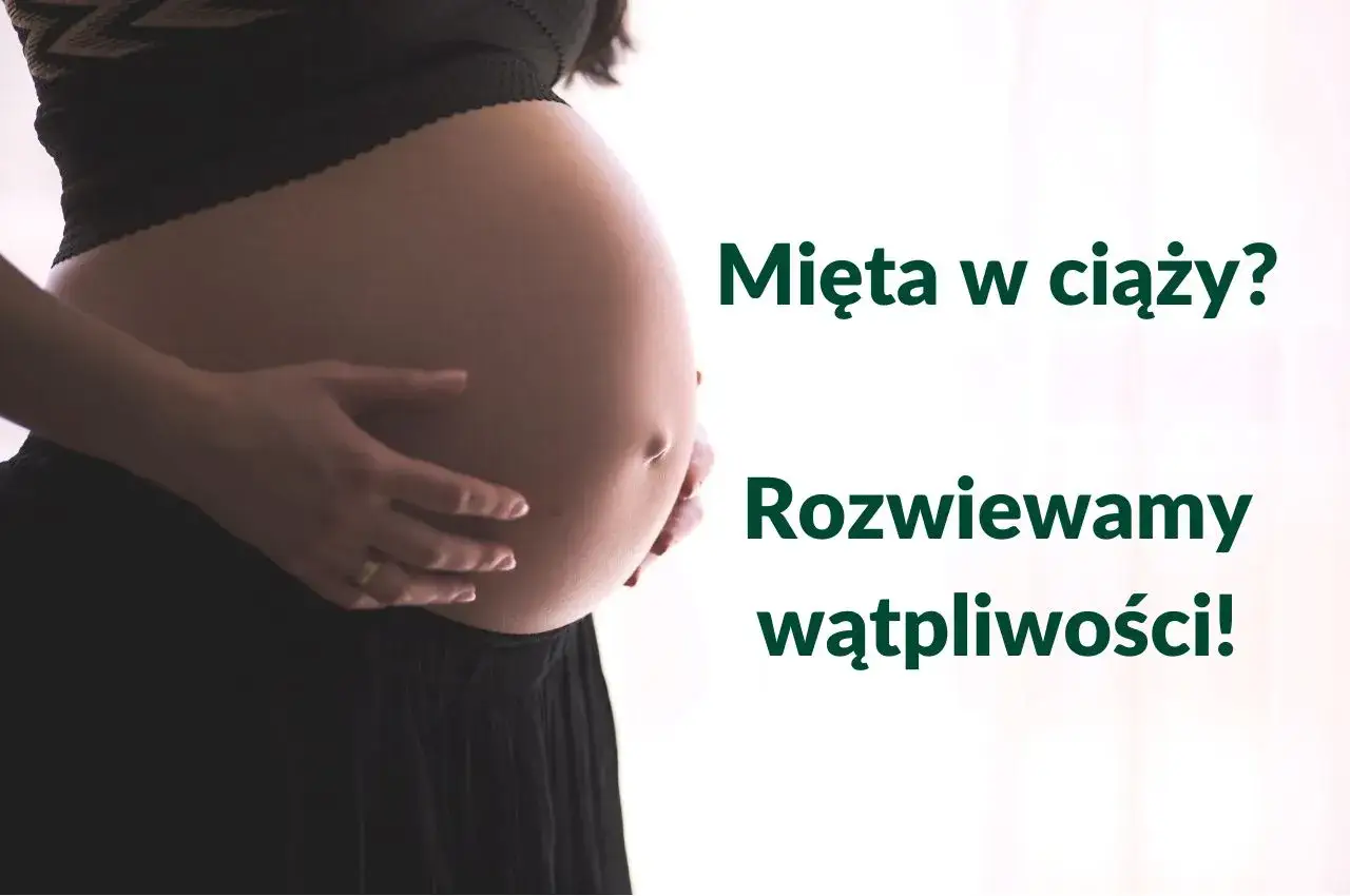 Brzuch kobiety w ciąży. Czy można pić miętę w ciąży? Rozwiewamy wątpliwości!
