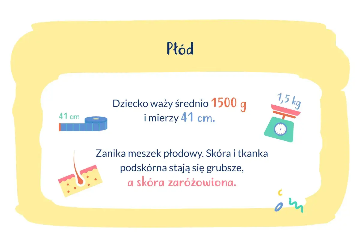 Waga dziecka w 30 tygodniu ciąży: średnio 1500 g i 41 cm. Zanika meszek płodowy, sk&oacute;ra grubieje.
