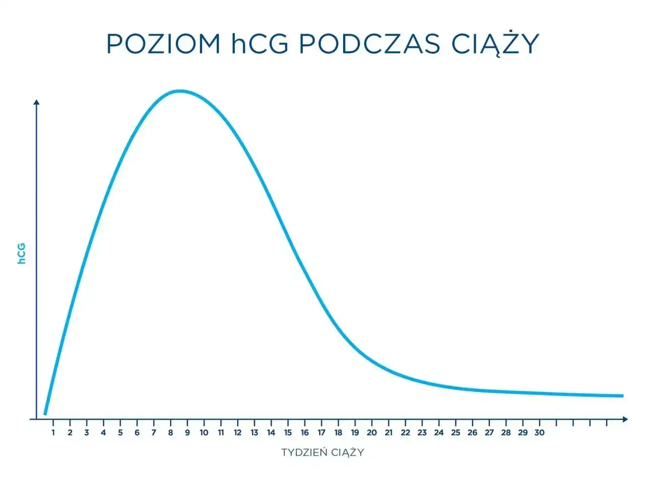 Wykres pokazuje wzrost poziomu beta hCG w 4 tygodniu ciąży, osiągając szczyt około 10. tygodnia, a następnie stopniowo spada.
